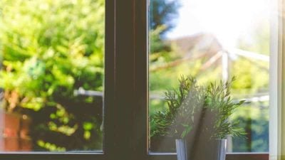 windows-e1591924111398.jpg